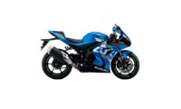 Carénages Suzuki GSXR 1000