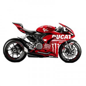 Carénage Ducati Panigale V2