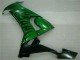 Carénages Moto Kawasaki ZX10R 2008-2010 - Noir Brillant Vert Flamme