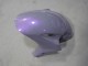 Carénages Moto Honda CBR1000RR 2004-2005 - Caméléon Gris Dazz Violet Perle