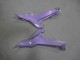 Carénages Moto Kawasaki Ninja 650 EX650 2020-2025 - Caméléon Gris Dazz Violet Perle