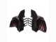 Carénages Moto Kawasaki GTR1400/ZG1400 2007-2009 - Rouge Marron Noir