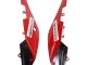 Carénages Moto Aprilia RS4 50 125 2012-2019 - Blanc Rouge Vert Noir Brillant
