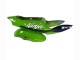 Carénages Moto Kawasaki ZX6R 1998-1999 - Vert Blanc Bleu Argent Noir Brillant