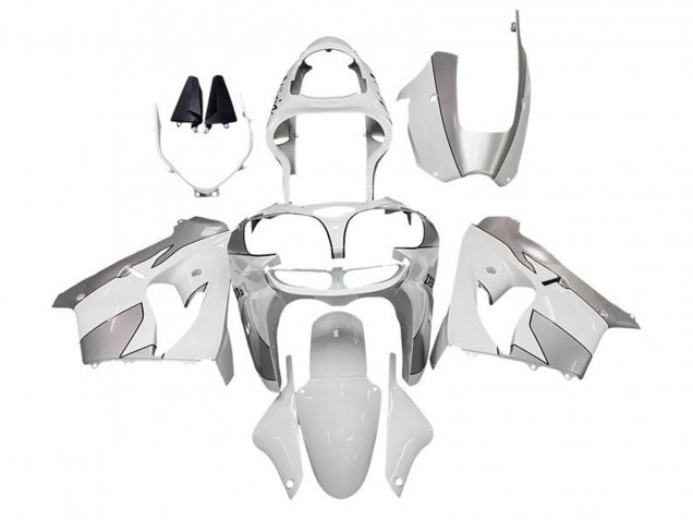 Carénages Moto Kawasaki ZX9R 2002-2003 - Blanc Argent