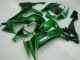 Vert Flamme Carénage Moto Kawasaki ZX10R 2008-2010 Vert Flamme Carénage Moto Kawasaki ZX10R 2008-2010