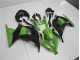 Vert Noir Carénages Moto Kawasaki EX300 2013-2016