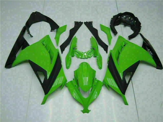 Vert Carénage Moto Kawasaki EX300 2013-2016 Vert Carénage Moto Kawasaki EX300 2013-2016